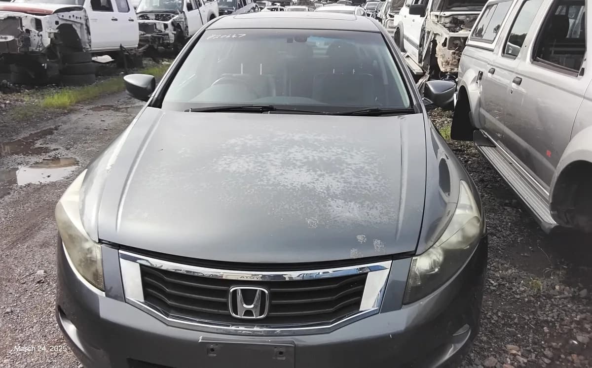 2008 Honda Accord at Tingalpa