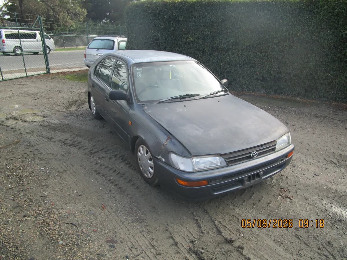 1995 Toyota Corolla at Langwarrin South