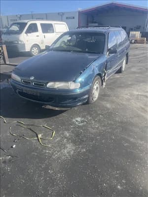 1997 Holden Commodore VS (1995-2000) at Geelong