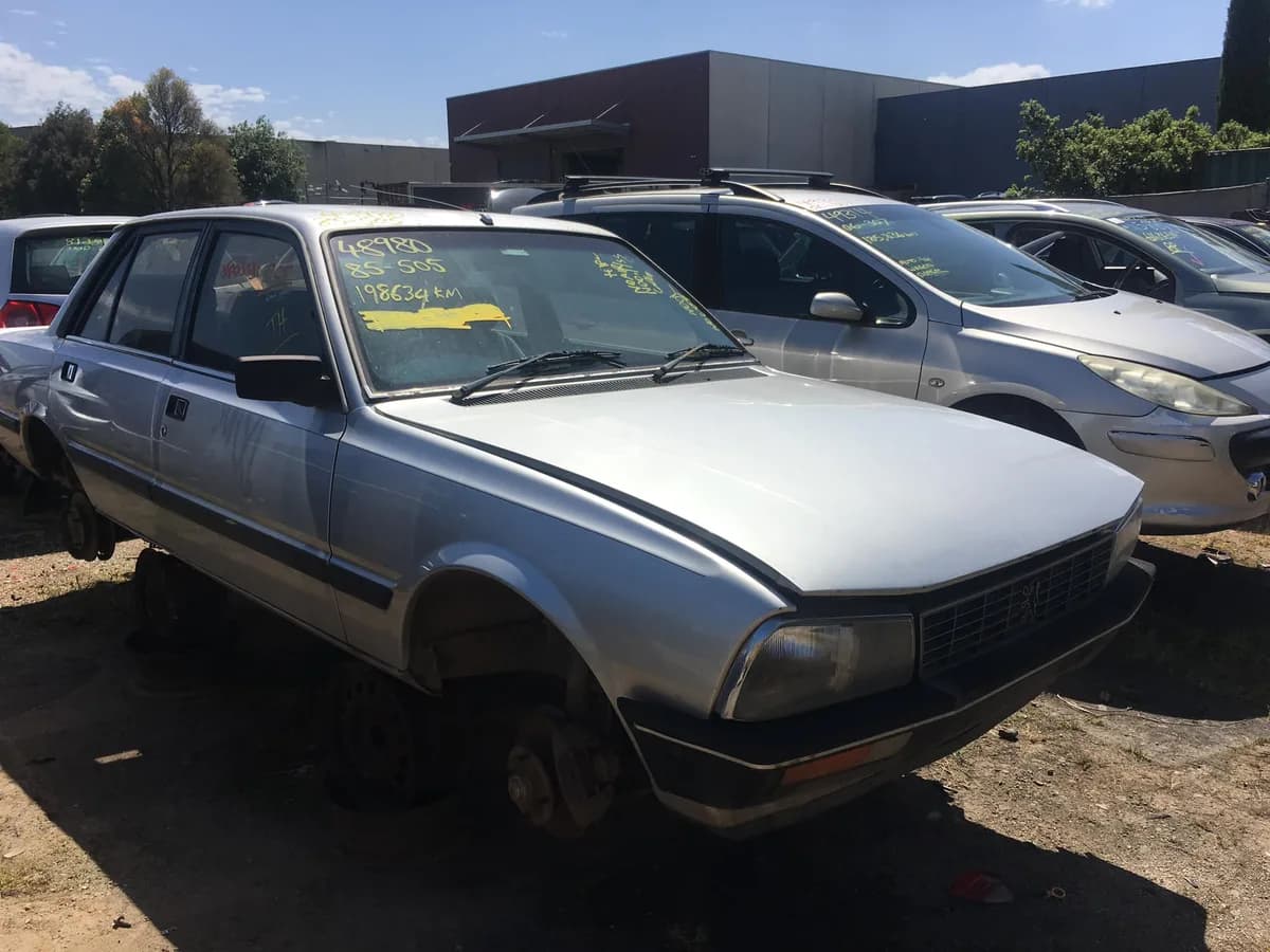 1984 Peugeot 505 at Campbellfield