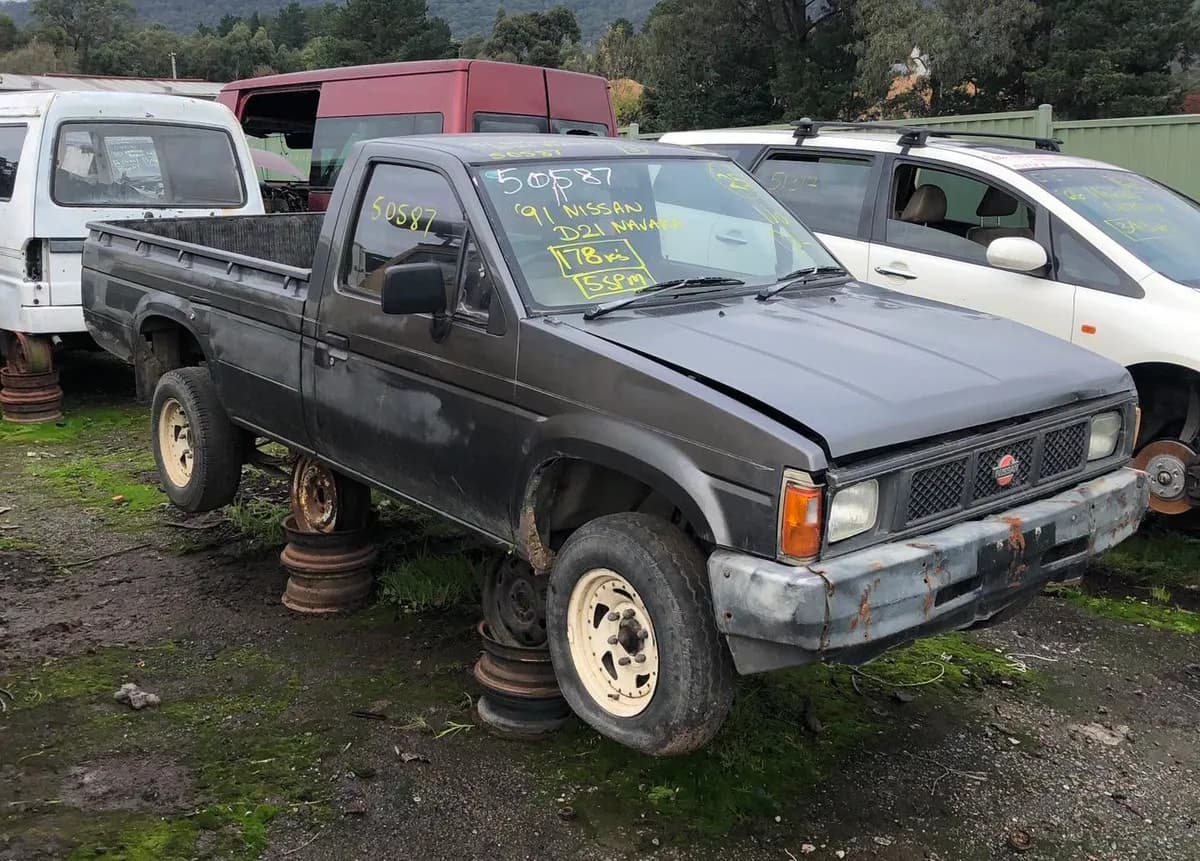 1991 Nissan Navara at Kilsyth