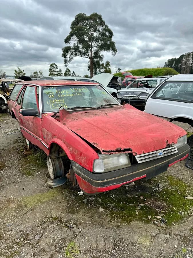 1985 Ford Falcon at Kilsyth