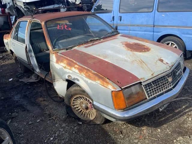 1981 Holden Commodore at Lonsdale
