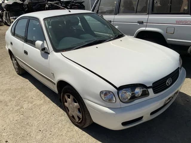 2001 Toyota Corolla at Lonsdale