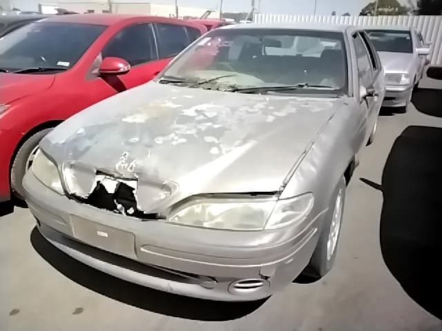 1995 Ford Falcon at Elizabeth