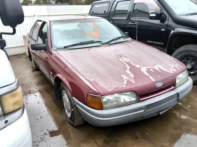 1991 Ford Falcon at Elizabeth