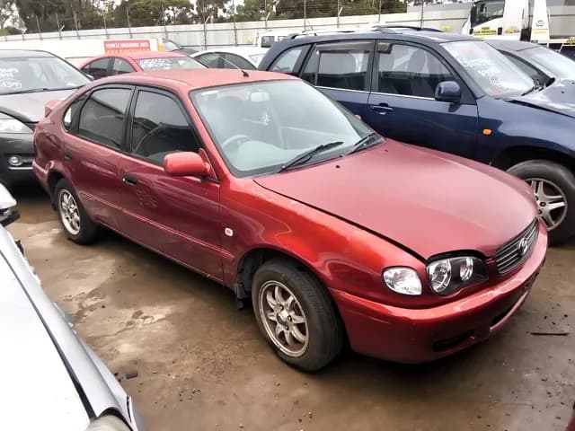 2001 Toyota Corolla at Elizabeth