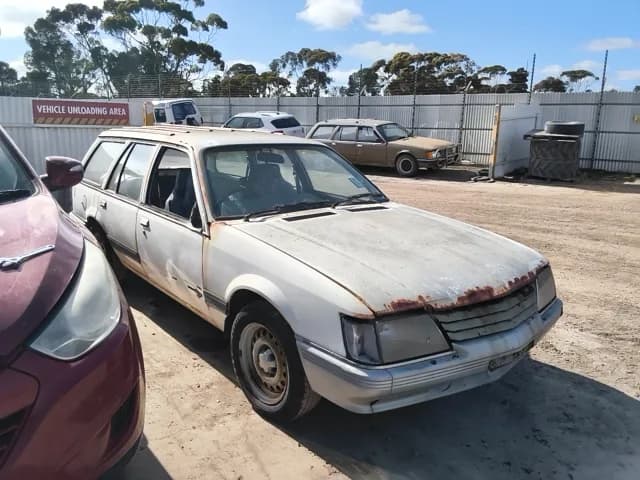 1984 Holden Commodore at Elizabeth